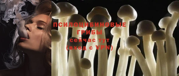 метадон Арсеньев