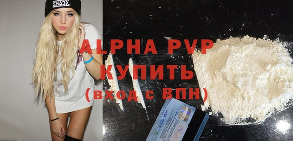 винт Надым