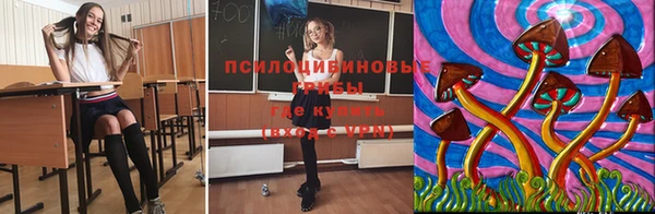 гидропоника Аркадак
