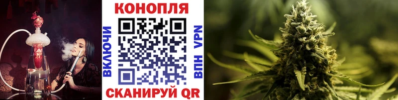 Канабис план  купить   Шуя 